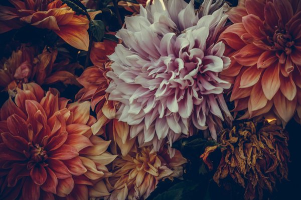 Déménager par soi-même: conseils pour une meilleure planification